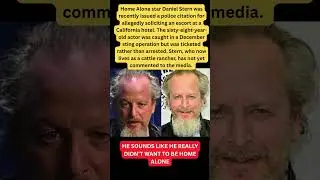 Home Alone Star Daniel Stern Cited for Allegedly Soliciting Escort