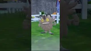 Pokemon Scarlet and Violet - Galarian Meowth evolve into Perrserker