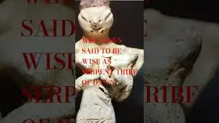 WHY JESUS SAID TO BE WISE AS SERPENT TRIBE OF DAN? #jesus