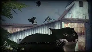 Half-Life 2 Gameplay #15 (Mod: Half-Life 2 Rebuild #8)