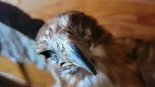 Chaplin Nature Center in Kansas