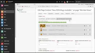 Typo3 CMS Connector for Picturepark