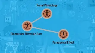 USMLE Prep - Renal Physiology - Glomerular Filtration Rate - Paradoxical Effect