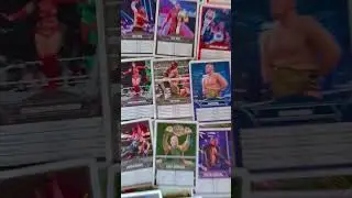 wwe card collections