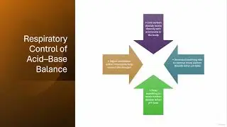 16  Fluid Balance, Electrolytes, and Acid&ndash;Base Regulation
