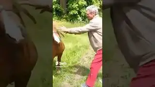 Смешные моменты🤣в конце угар🤣🤣 #shorts