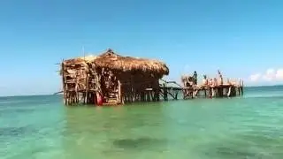 Jamaican Road Trip