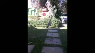 WP 20150709 007