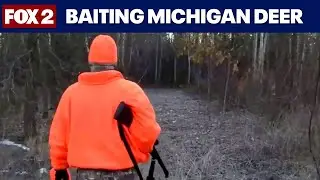 Baiting Deer in Michigan: Bill lifting ban advances in state House