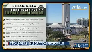Florida GOP and Dems clash over new illegal immigration laws