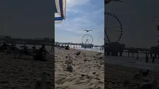 Den Haag Beach