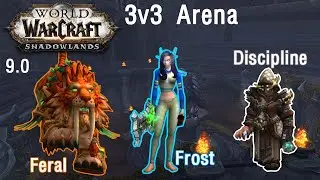 (L)Feral Frost Discipline vs Subtlety Balance Holy / Shadowlands / 9.0 / Arena / 3v3