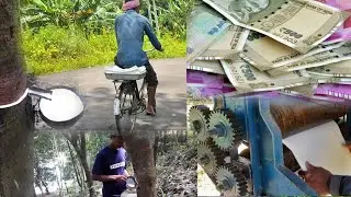 Rubber Cultivation Video || Rubber Sheets Making Video || @tiprasavloggingdiary1233