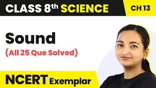 Sound - (All 25 Question Solved) | Class 8 Science NCERT Exemplar Solutions Chapter 13