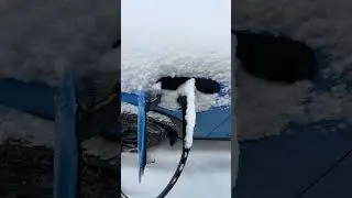 Mustang Mach E winter EV charging tips & tricks - how to avoid common problem issues cold snow & ice