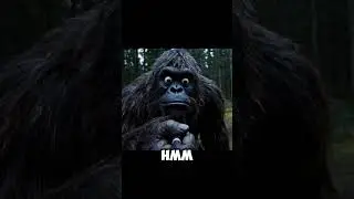 Bigfoot Eats Bad Mushrooms in the Forest | Funny Cryptid Comedy Short