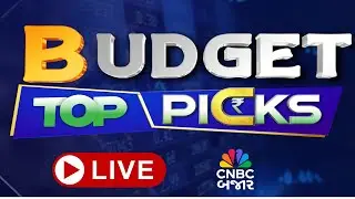 Buget Stock for investment | Budget પહેલા ક્યા કરશો રોકાણ? Pre-Budget top Picks | Union Budget 2026