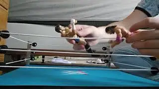 JWF intercontinental championship match, cm punk vs razor ramon