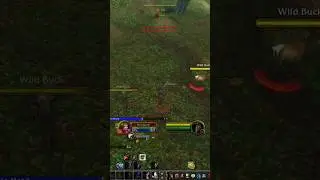WoW Classic Season of Discovery melee survival hunter wpvp #10 - your stealth is weak!