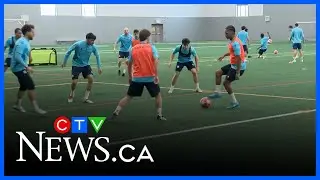 Calls growing for more indoor turf fields in Nova Scotia