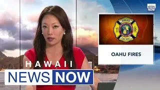HNN News Brief (March 27, 2023)