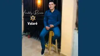 Volar&eacute;