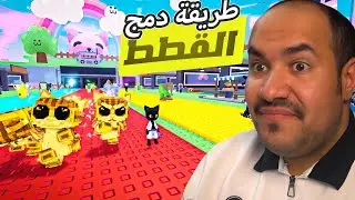 أول يوتيوبر يجيب الدمج الجديد👓🫡 - أفخم 3 قطط بالماب !! 🐈🐆🐈‍⬛روبلوكس roblox steal a brainrot