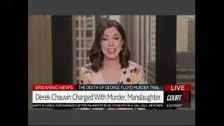 State Witness Issues In The Derek Chauvin Trial
