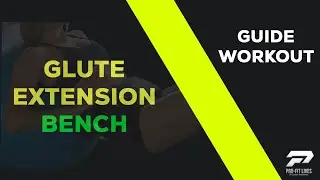 Glute Extension on Bench | Glute Isolation | PRO-FIT LIVES Workout
