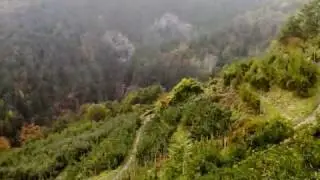 Raccolta mele - Val di Non