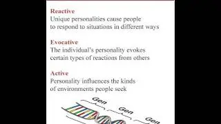 Gene Environment Video