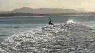 SurfAlex