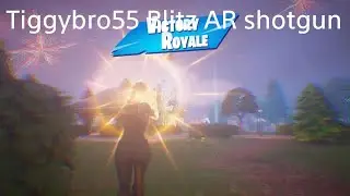 Tiggybro55 Blitz AR shotgun Win