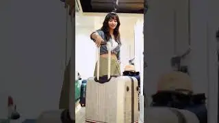 Biggest Premium Travel-Gear Store in EVA MALL | Bagline