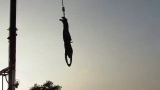 Bungee Jumping in Sri Lanka