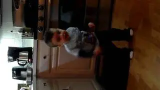 Johnny dancing to Elmo's ABC rap