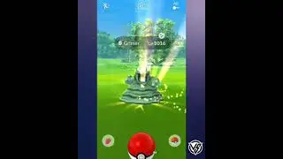 Get Shiny✨ Grimer Before Spotlight Hour #short [Pok&eacute;mon GO]