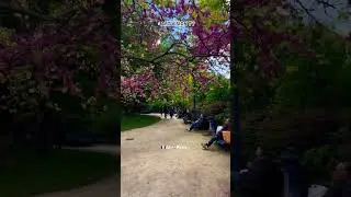 🇫🇷Ah~~Paris...(Square of Saint-Jacques Tower Paris) 01/May/2024