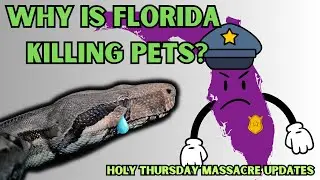FWC Killed Pregnant Pet Boa Constrictor: Holy Thursday Massacre Updates #snakevideo