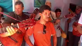 Folia de  Campos  alegre minas  gerais da maria 