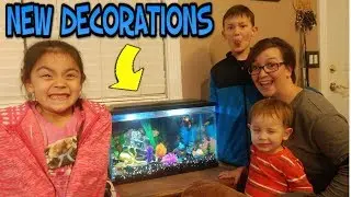 New Decorations for our Fish Tank