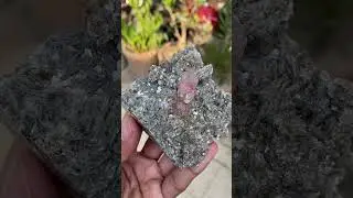 Natural Pink Apatite Crystal On Mother Rock From Pakistan #apatite #mining #gemstone #minerals #reel