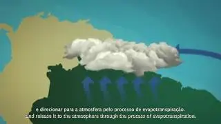 Flying rivers in the Amazon region