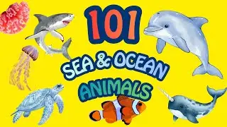 101 Sea Animals for Toddlers! Learn Ocean Animal Names and Sounds