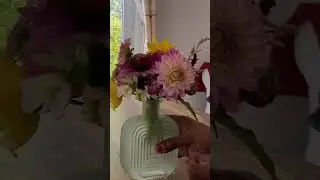 Almost autumn - every bloom is precious
