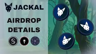 Jackal DAO Network TESTNET / Yapın Dursun!