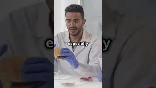 The Truth About HEK 293