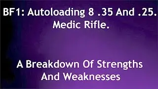 Autoloading 8 (.35 And .25) of BF1. Breakdown Of Factory, Marksman And Extended. Pros/Cons.