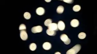 3 sector water-sound-image (C0393)