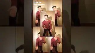 Copy Cat Challenge Second Attempt tiktok 2018